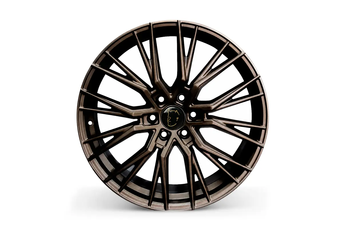 20" Bronze Alloy Wheels
